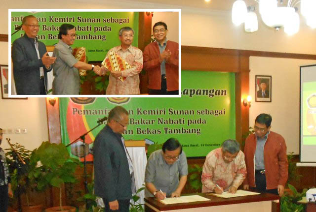 Kemiri Sunan Produksi 6 - 8 Ton Biodiesel per Hektar per Tahun 